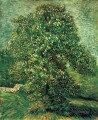 Kastanienbaum in Blüte 2 Vincent van Gogh
